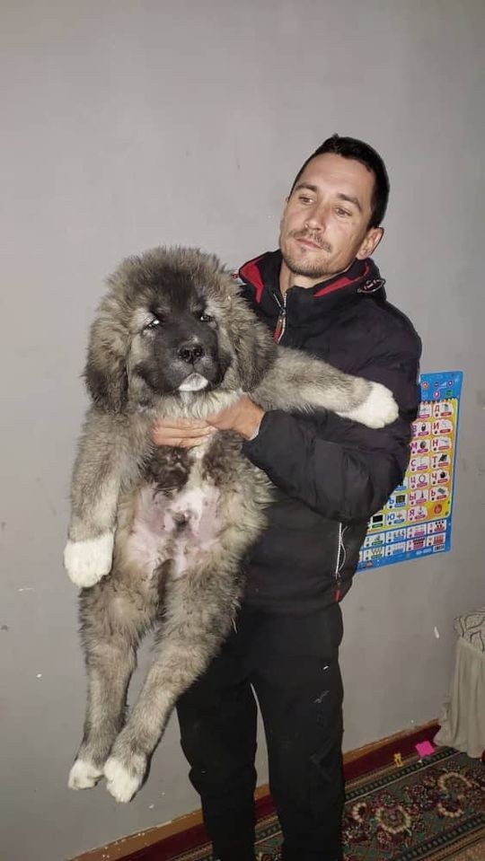 500 USD