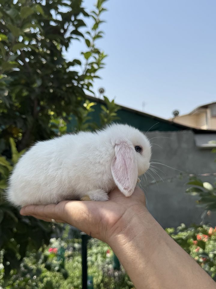 300 000 сум