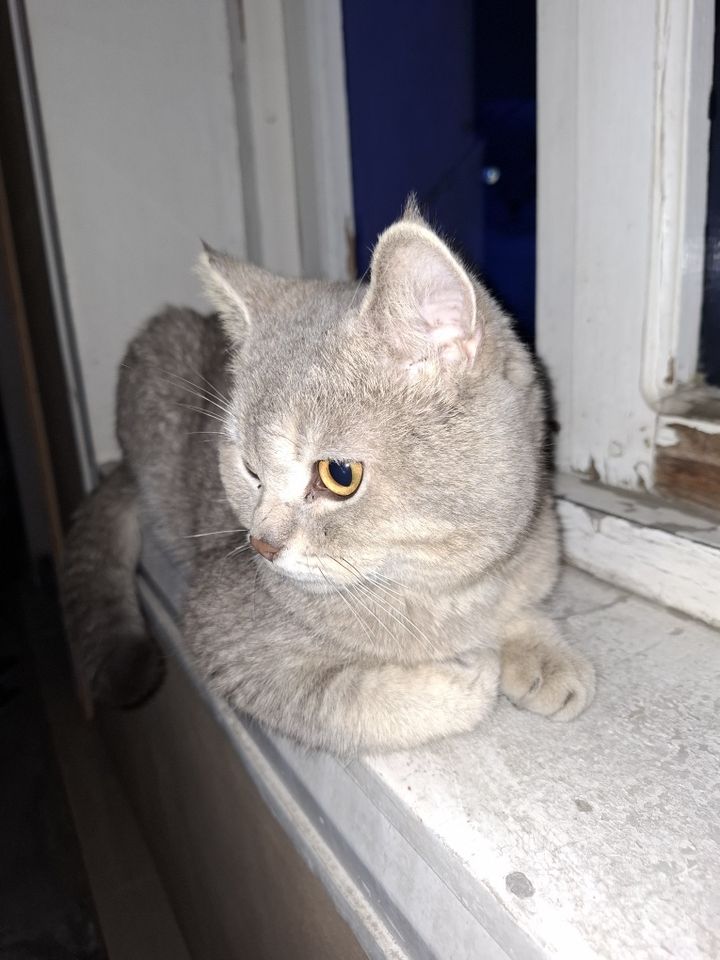 500 000 сум