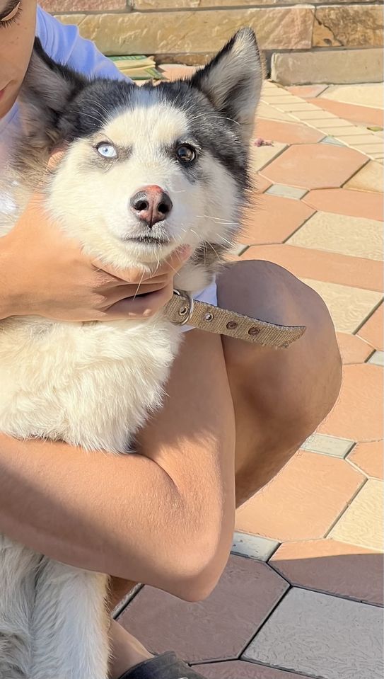 140 USD