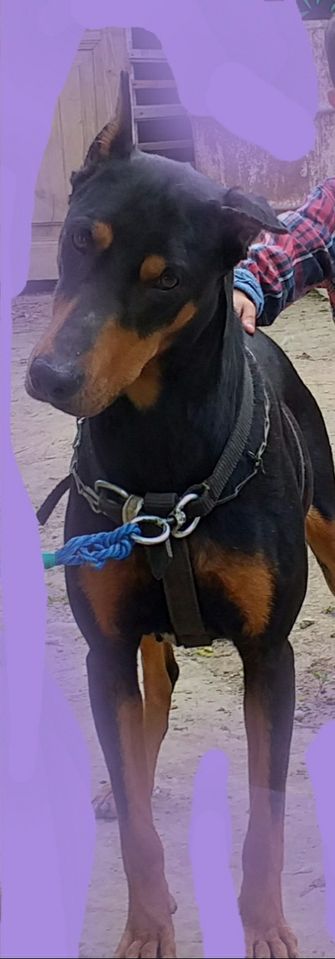 200 USD