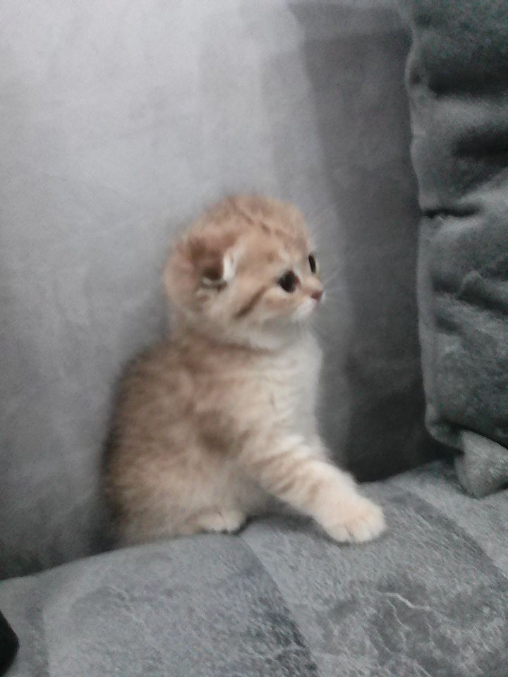 1 300 000 сум