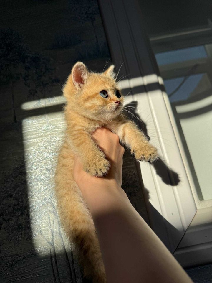 150 USD
