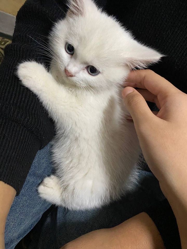 1 900 000 сум