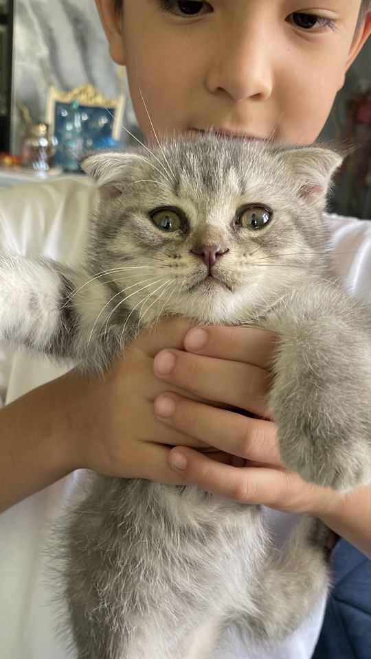 1 500 000 сум