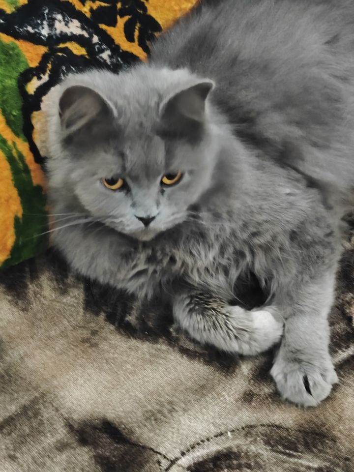 900 000 сум
