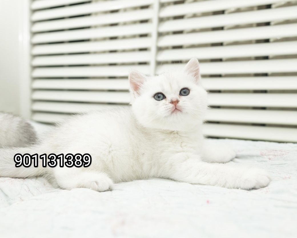 260 USD