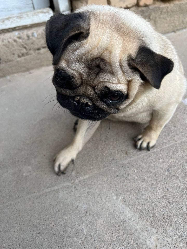 150 USD