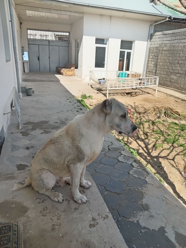 1 500 USD
