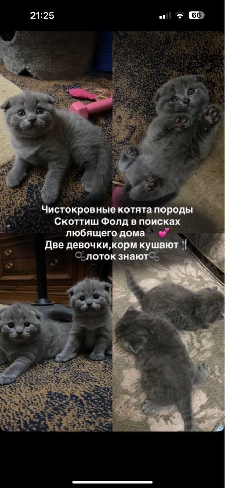 100 USD