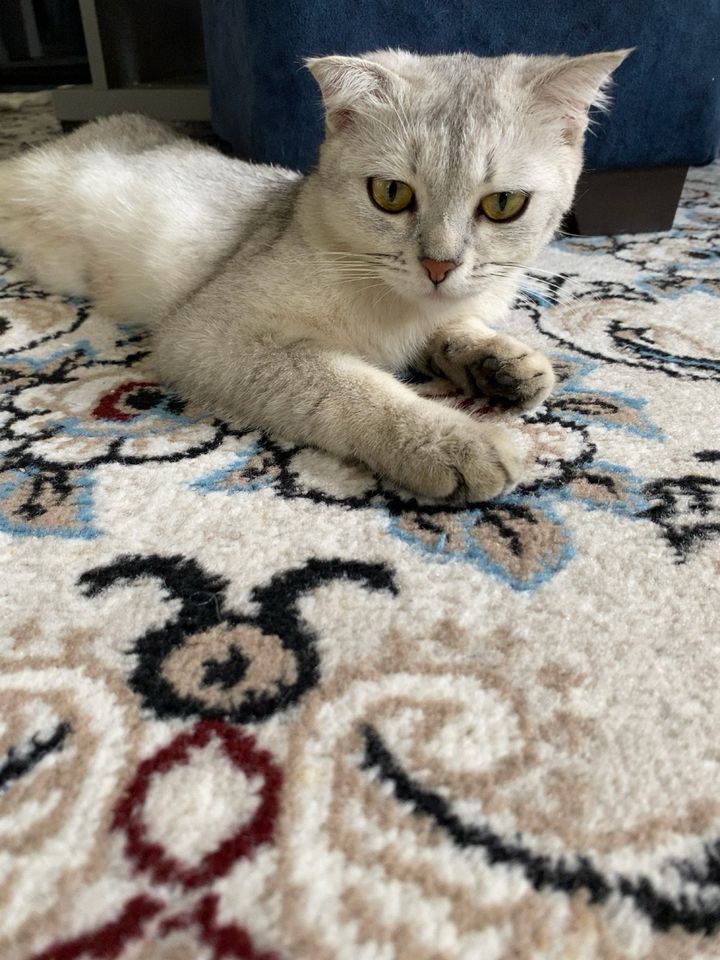 1 500 000 сум