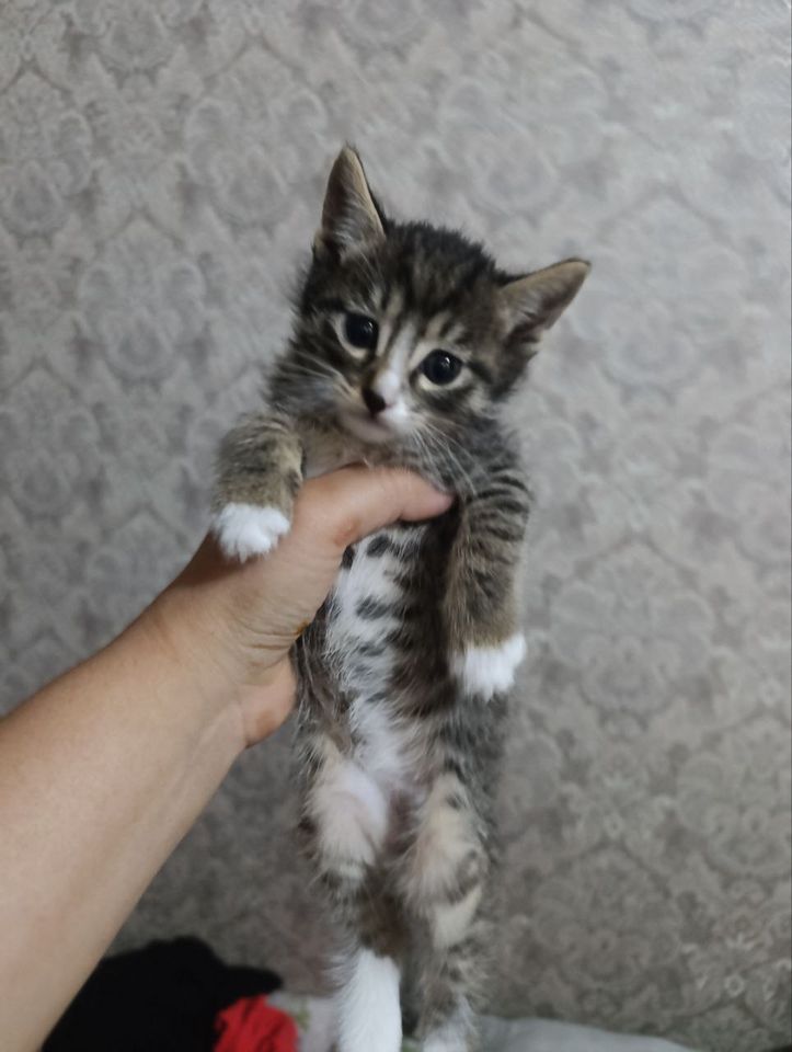 400 000 сум