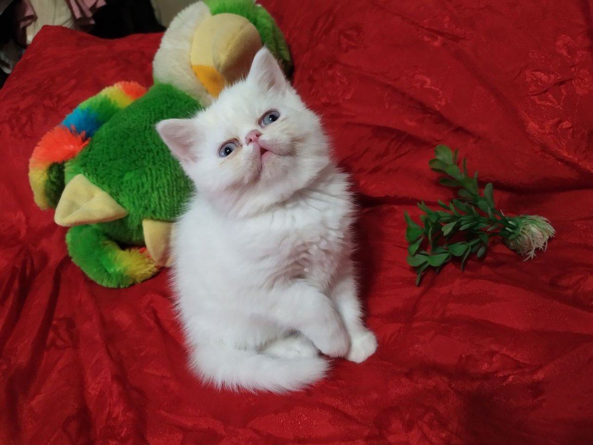 70 USD