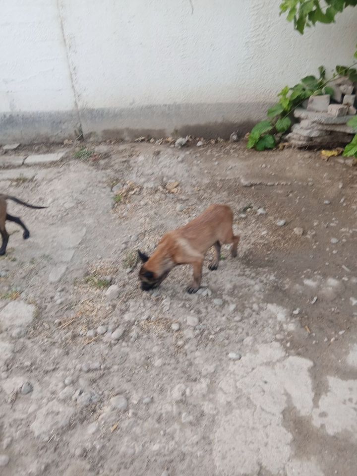 2 500 000 сум