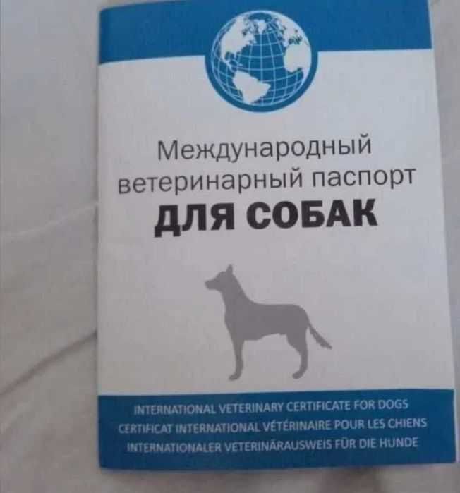 400 000 сум
