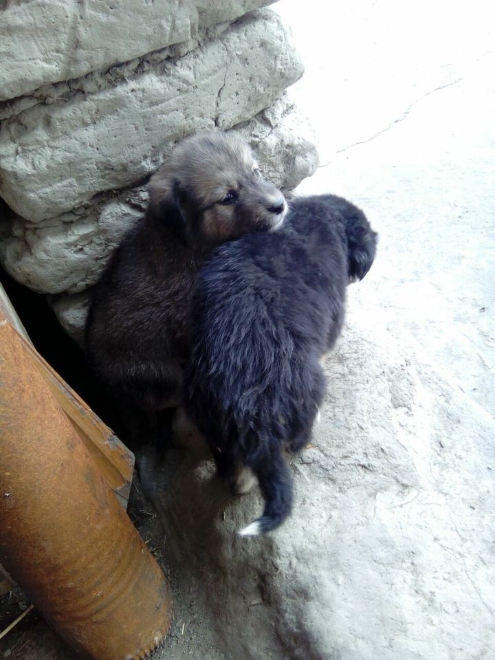 150 000 сум