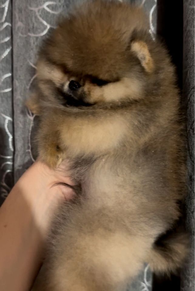 1 000 USD