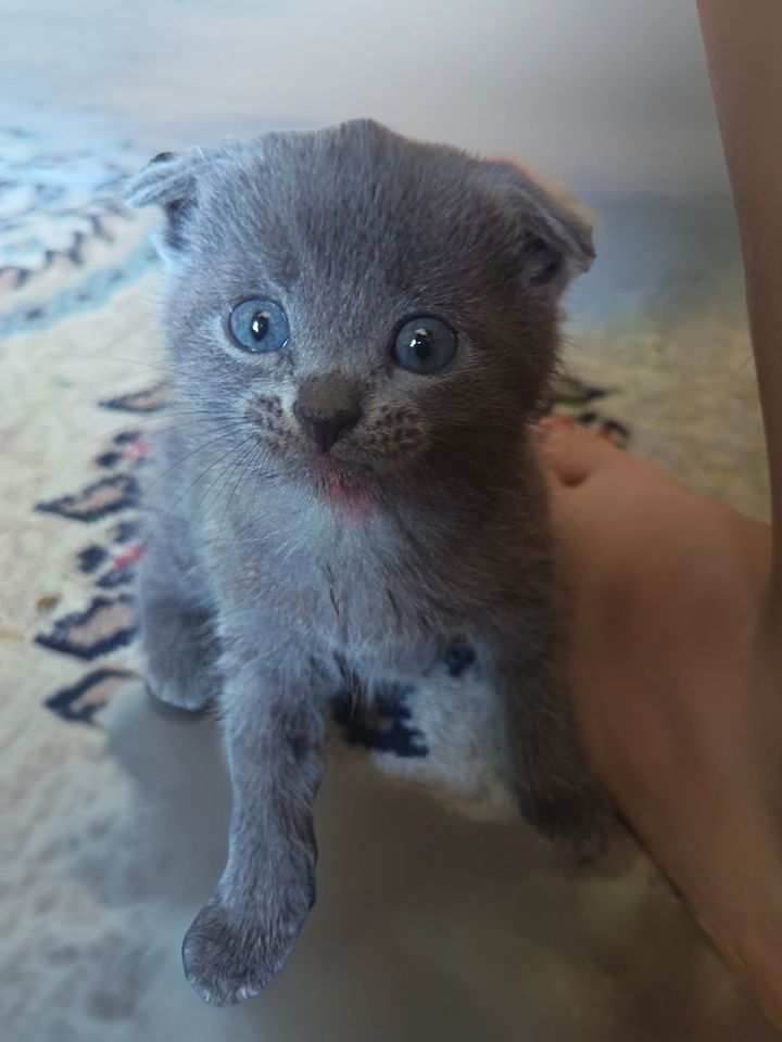 500 000 сум