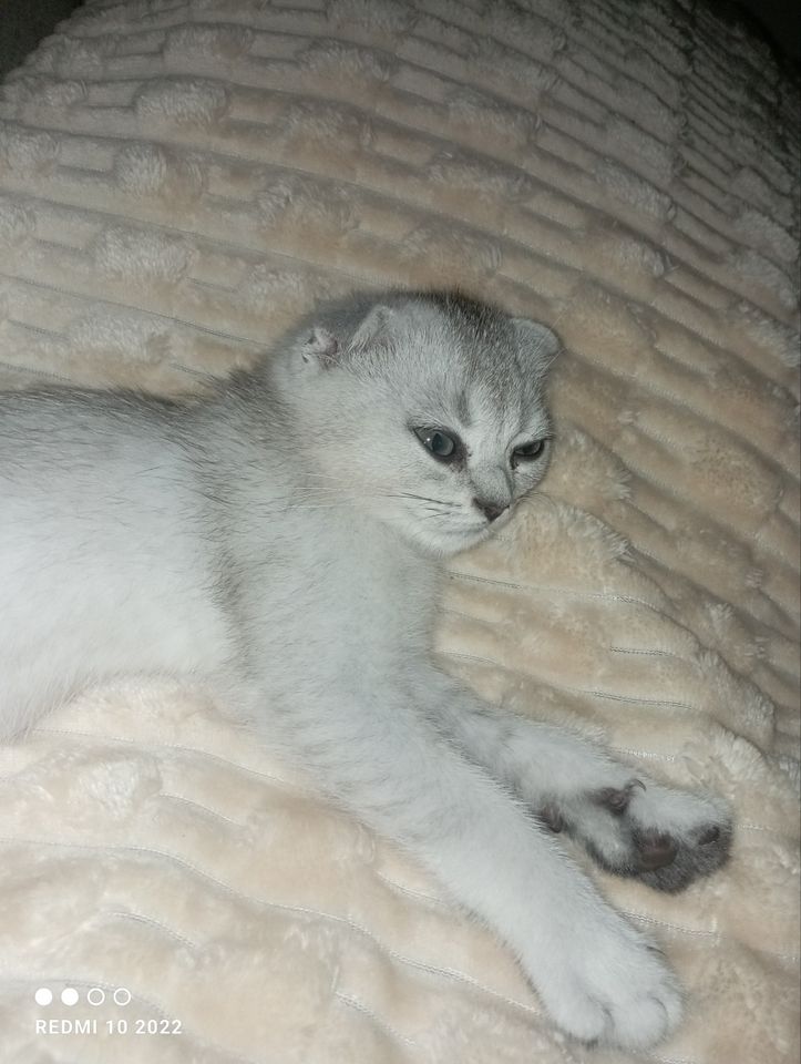 1 100 000 сум