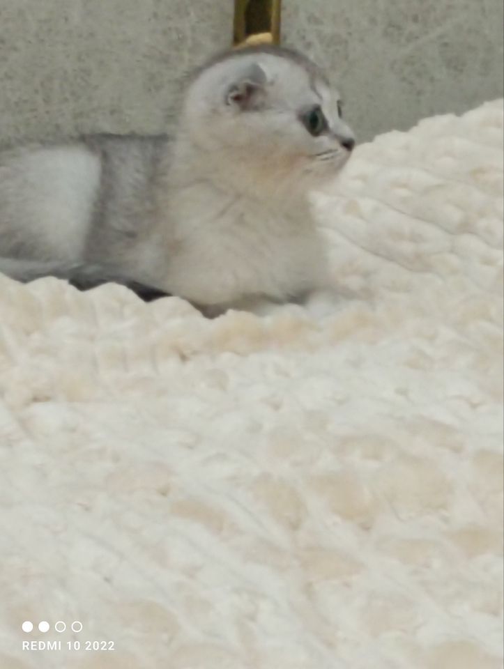 1 100 000 сум