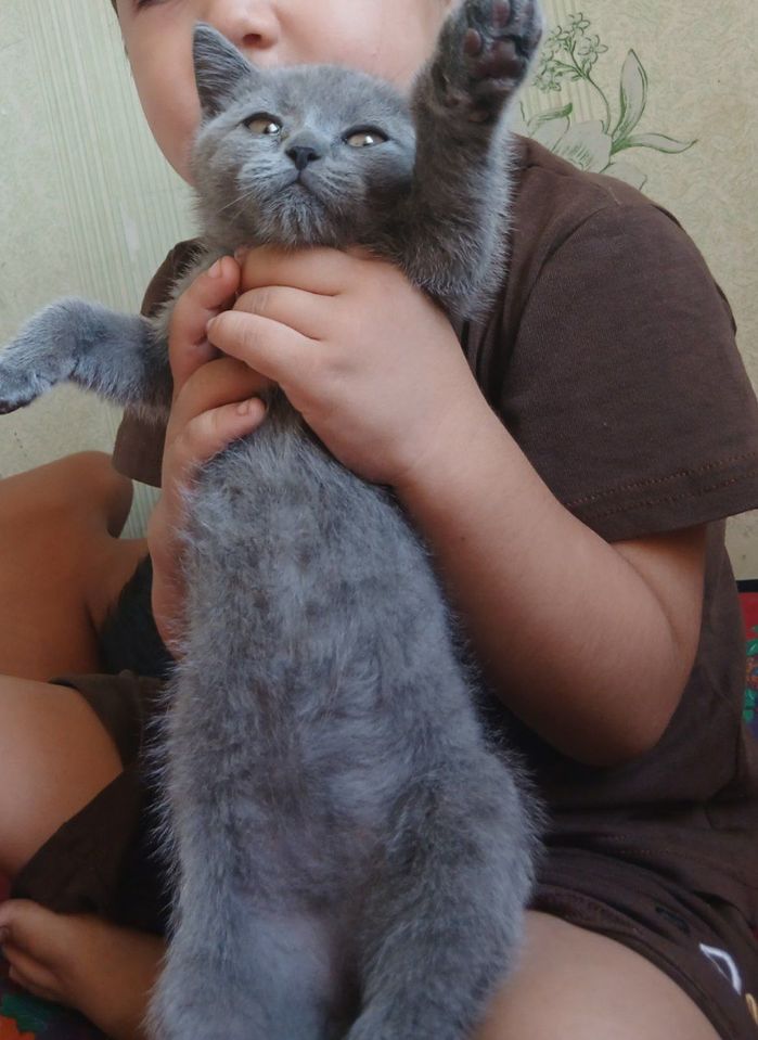 1 000 000 сум