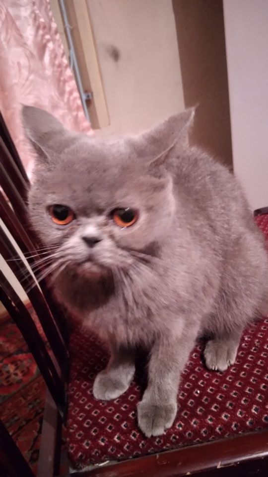 500 000 сум