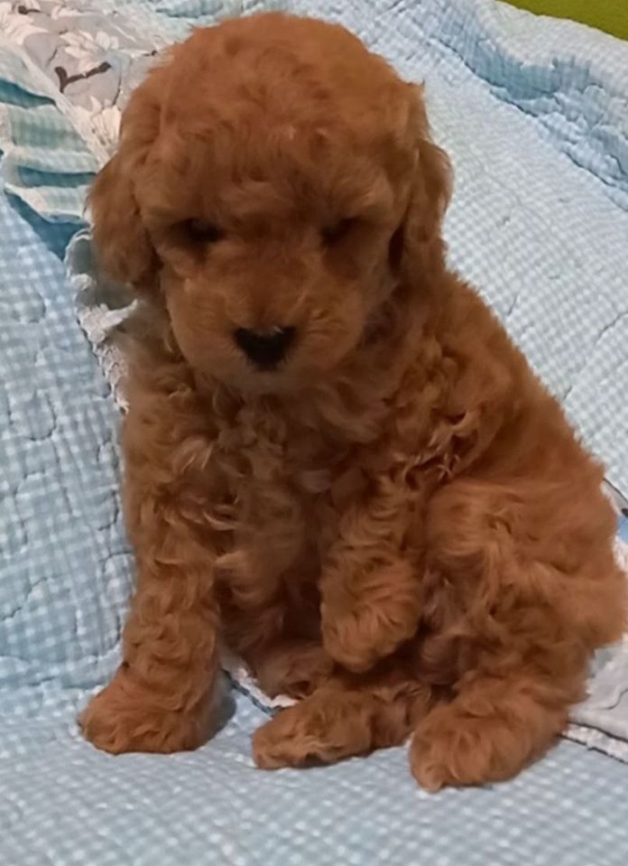 700 USD