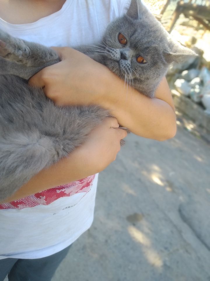 2 000 000 сум