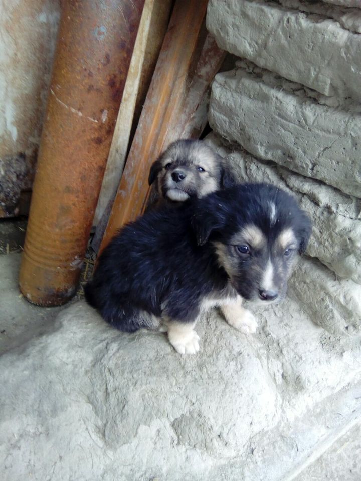 150 000 сум