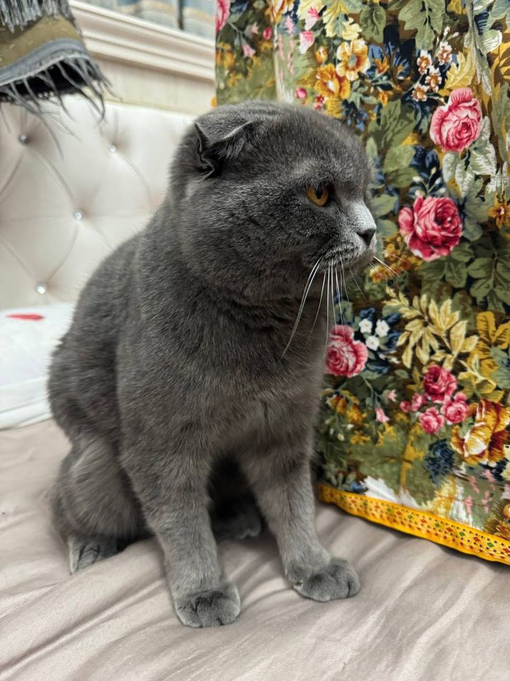 1 200 000 сум