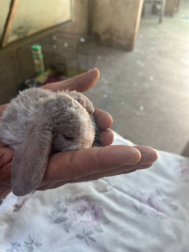 100 000 сум