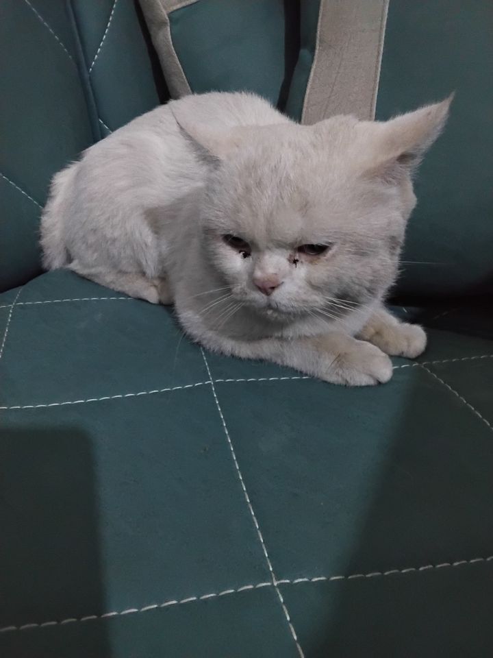 60 USD