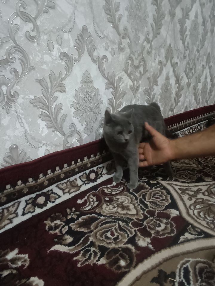 500 000 UZS