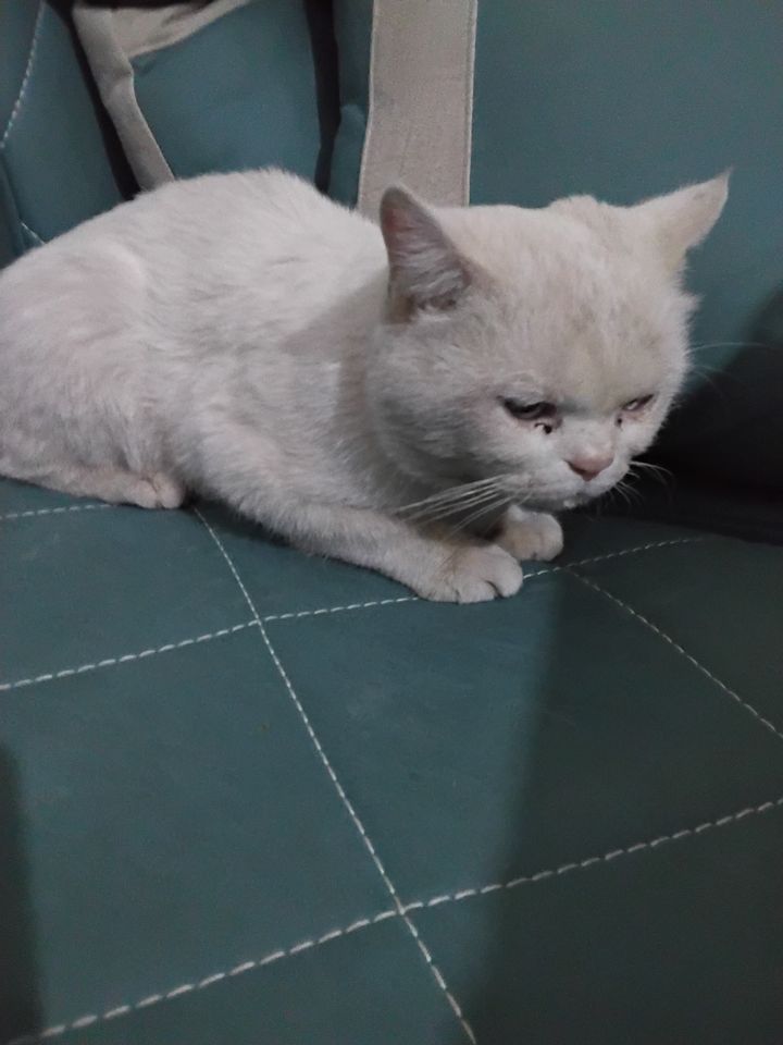 60 USD