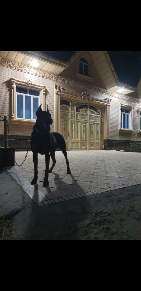 150 USD