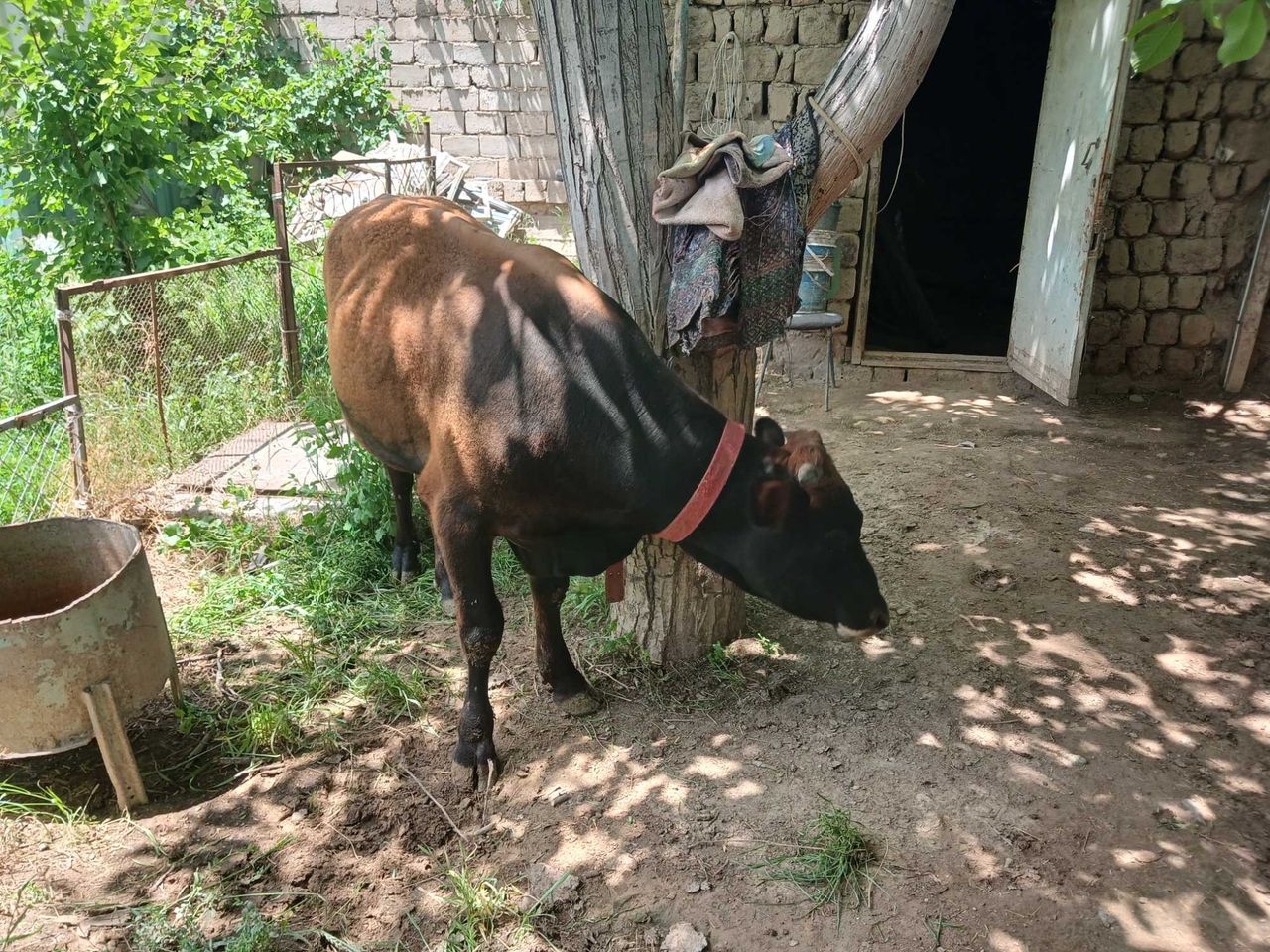 23 500 000 сум