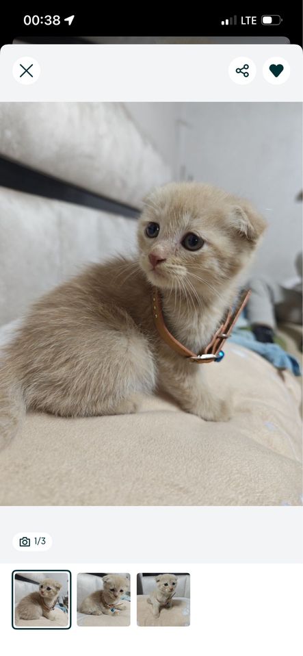 500 000 сум