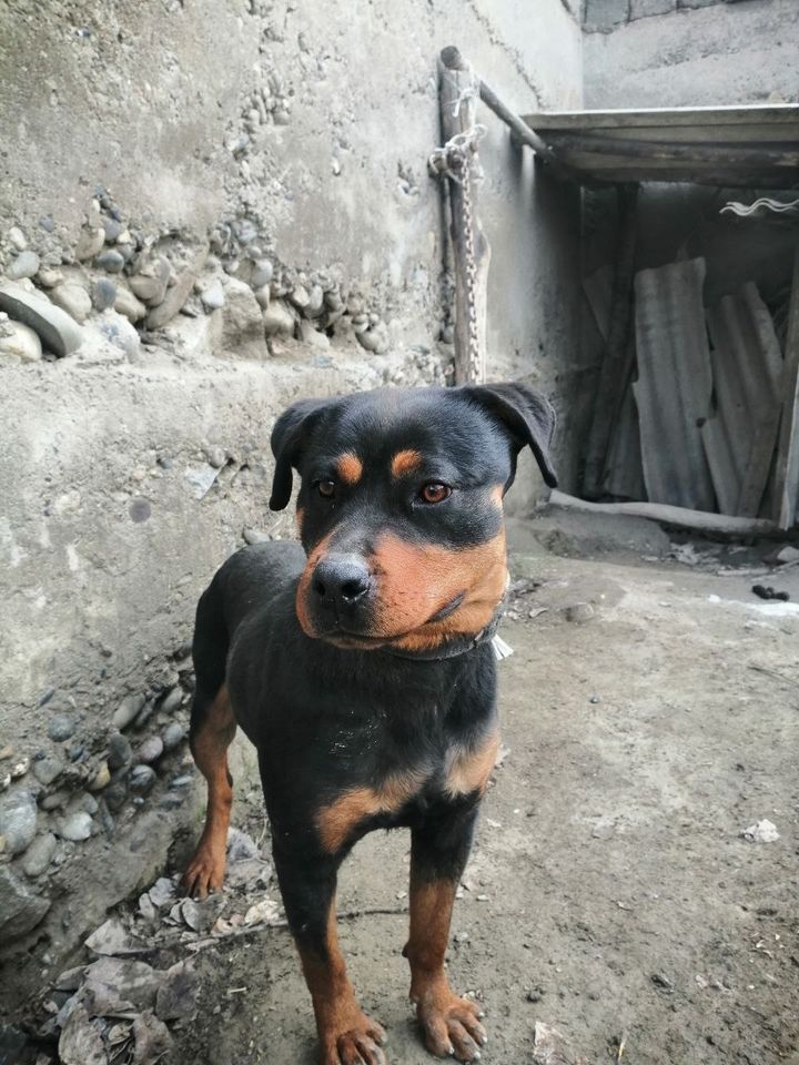 800 000 UZS