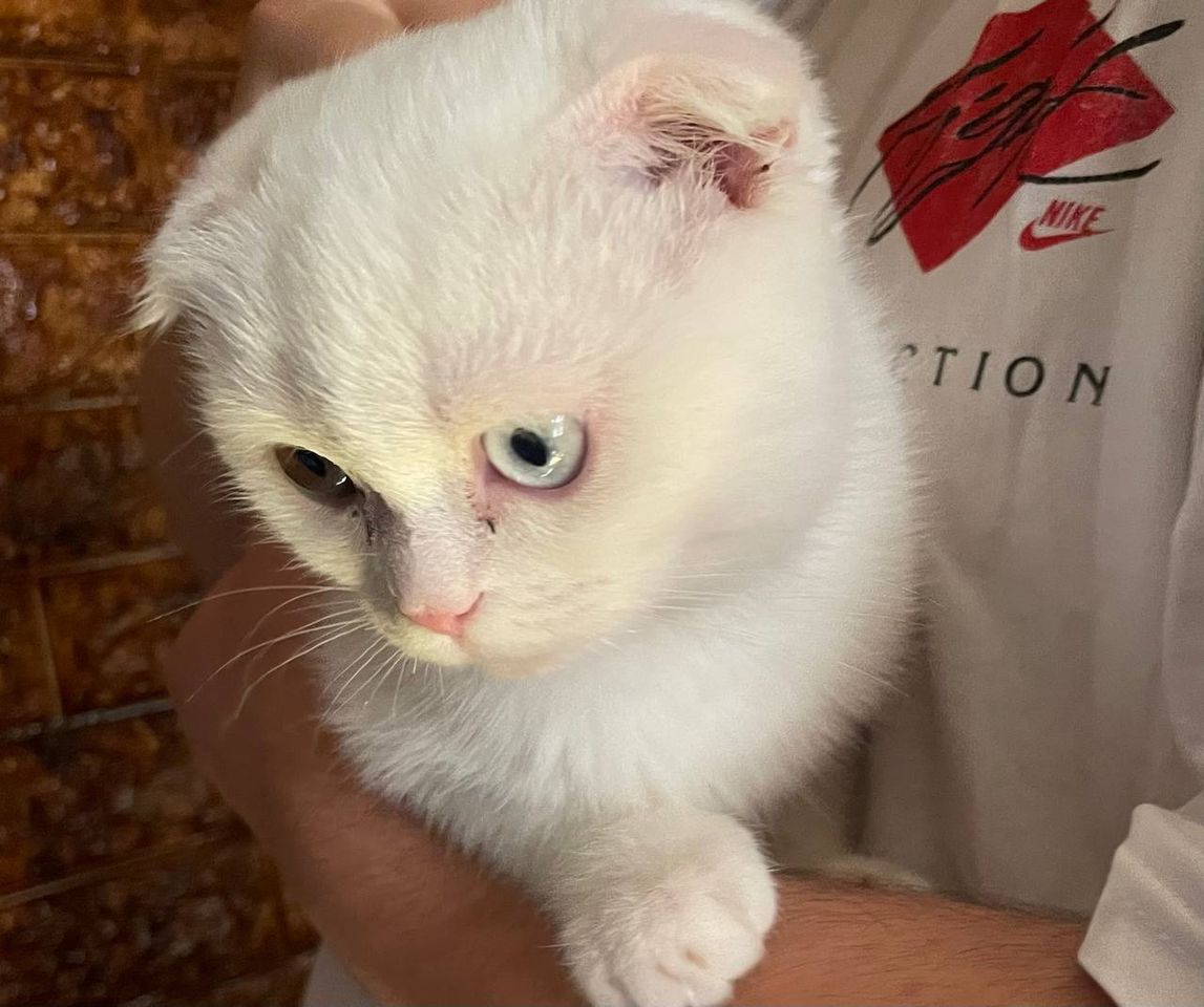 150 USD