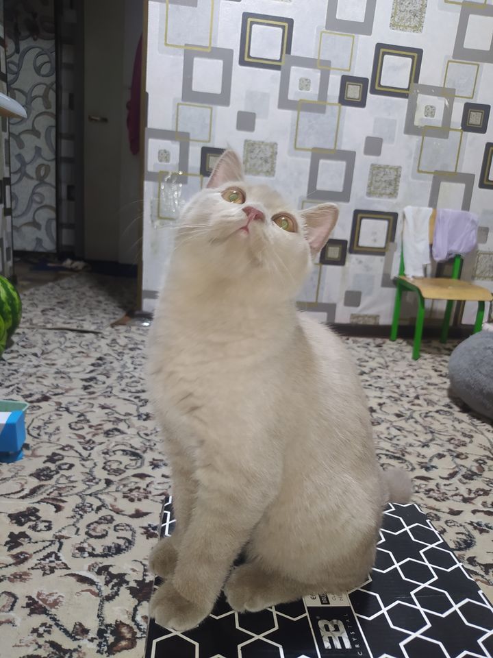150 USD