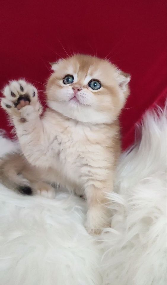 1 500 000 сум
