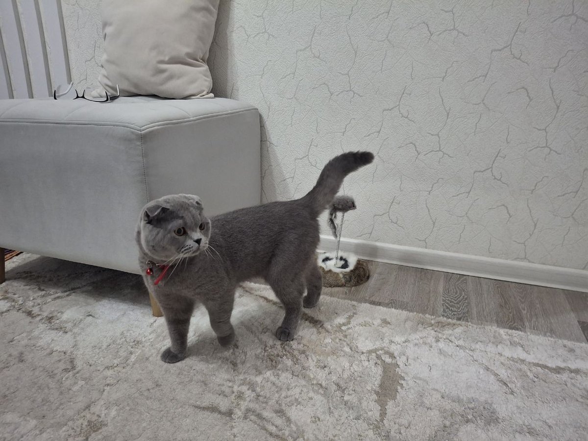 700 000 сум