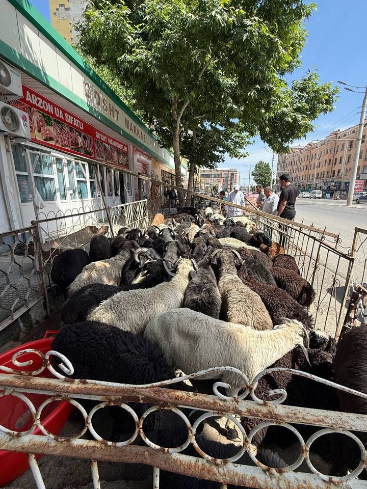 4 000 000 UZS