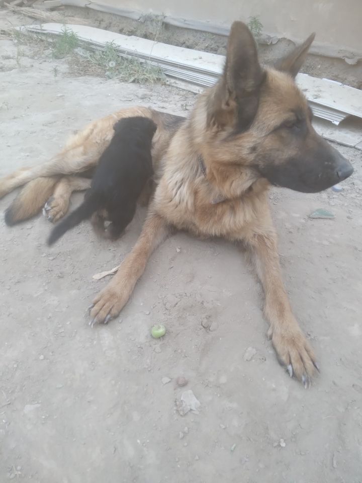 1 000 000 UZS
