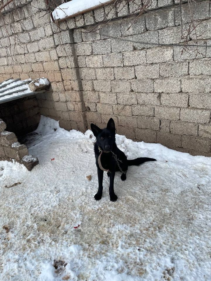 3 500 000 сум