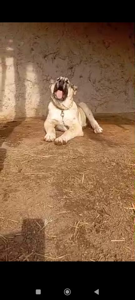 800 USD