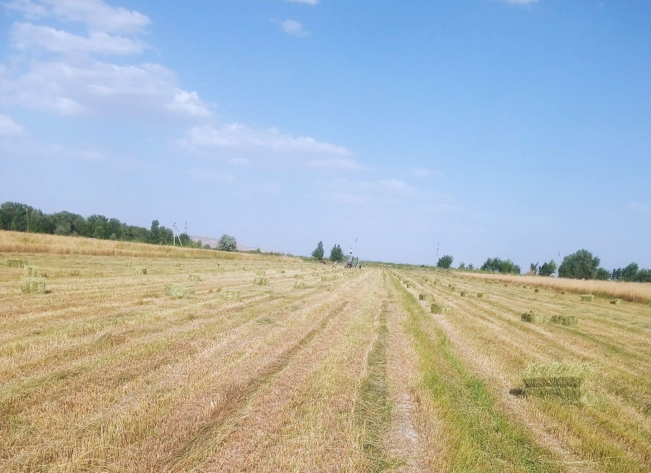 23 000 сум