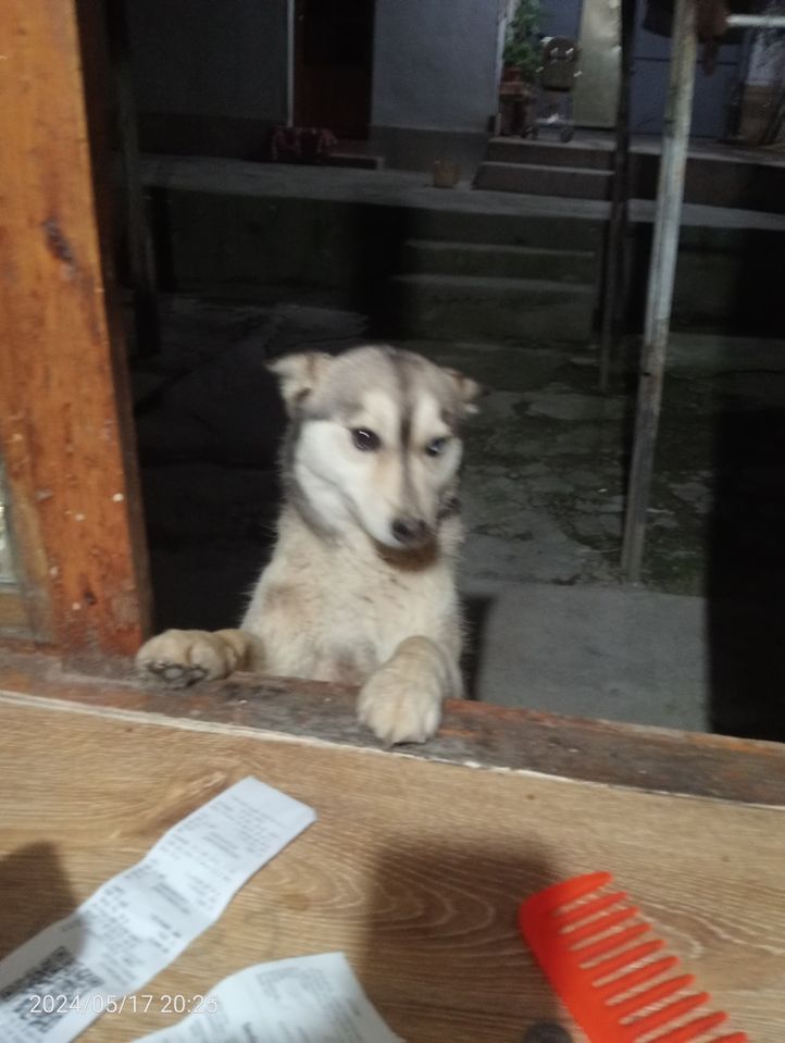 1 000 000 сум
