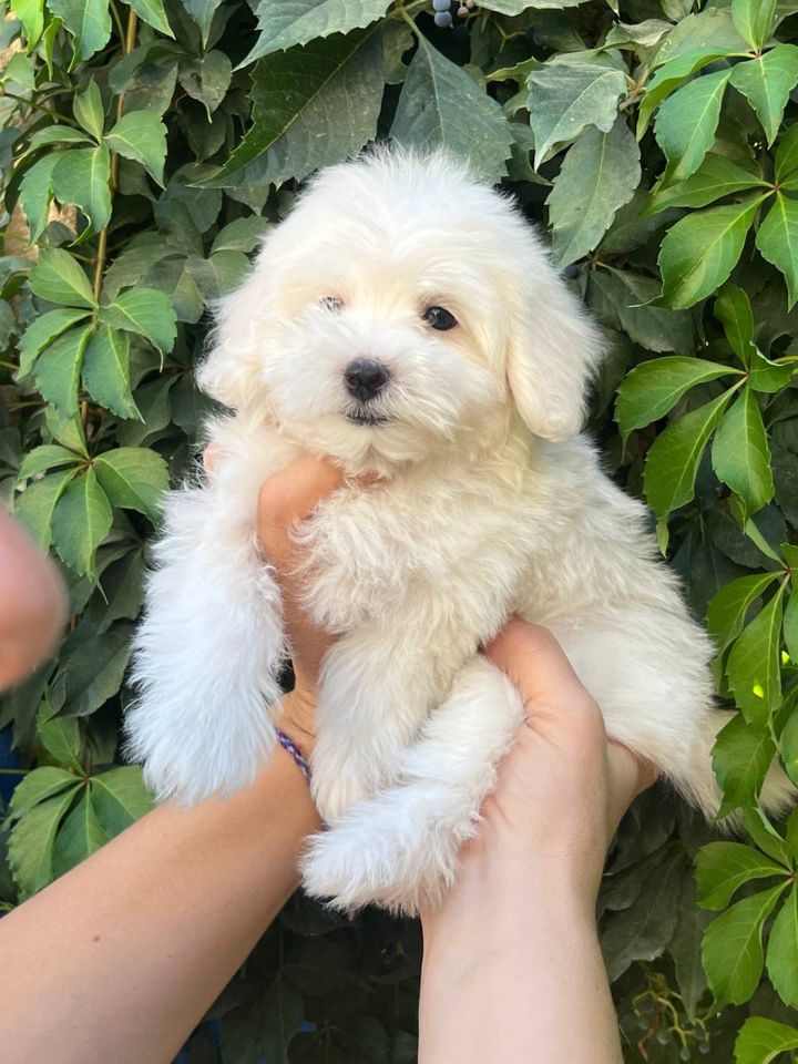 350 USD