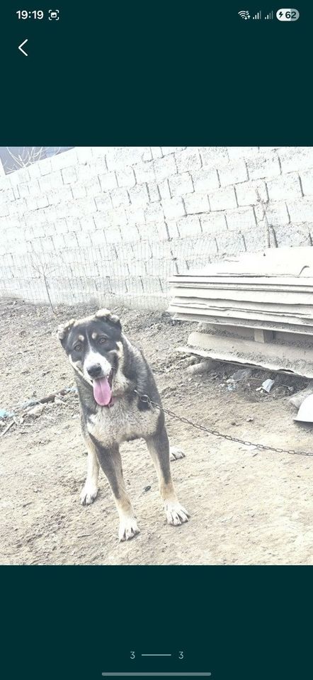 1 500 000 сум